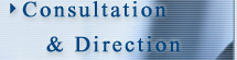 Consultation & Direction